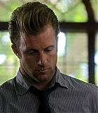 H50113-00171.jpg