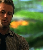 H50113-00179.jpg