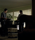 H50113-00209.jpg