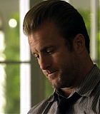 H50113-00213.jpg