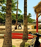 H50113-00227.jpg