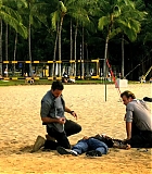 H50113-00233.jpg