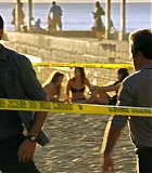H50113-00239.jpg