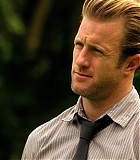 H50113-00293.jpg