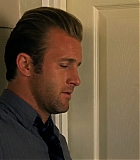 H50114-00206.jpg