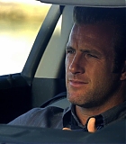 H50114-00317.jpg