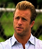 H50115-00071.jpg
