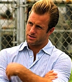 H50115-00077.jpg