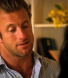 H50115-00169.jpg