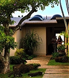 H50115-00177.jpg