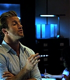 H50115-00239.jpg