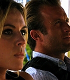 H50115-00331.jpg