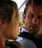 H50115-00341.jpg