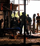 H50115-00425.jpg