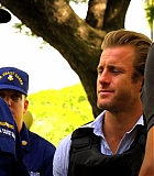 H50115-00490.jpg