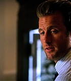 H50115-00515.jpg