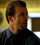 H50116-00083.jpg