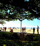 H50117-00112.jpg