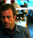 H50117-00172.jpg