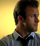 H50117-00275.jpg