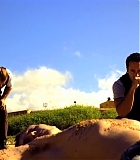 H50117-00303.jpg