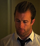 H50117-00319.jpg
