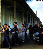 H50117-00343.jpg