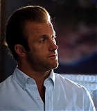 H50118-00101.jpg