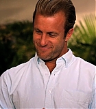 H50118-00138.jpg