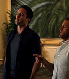 H50118-00206.jpg