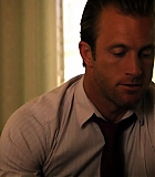 H50118-00495.jpg