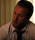 H50118-00499.jpg