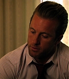 H50118-00500.jpg