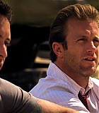 H50118-00536.jpg