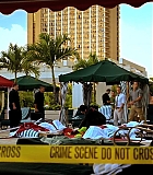 H50119-00055.jpg