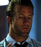 H50119-00164.jpg