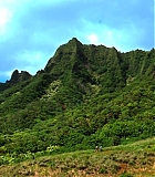 H50120-00029.jpg