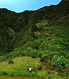 H50120-00047.jpg