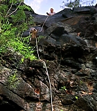 H50120-00086.jpg