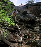 H50120-00087.jpg