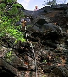 H50120-00099.jpg