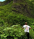 H50120-00115.jpg