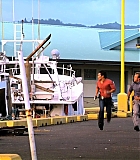 H50120-00196.jpg