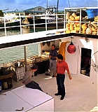 H50120-00203.jpg