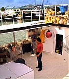 H50120-00204.jpg