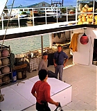 H50120-00215.jpg