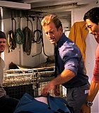H50120-00219.jpg