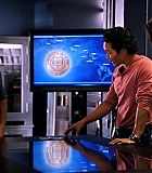 H50120-00261.jpg