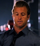 H50120-00268.jpg