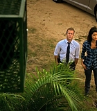 H50121-00056.jpg
